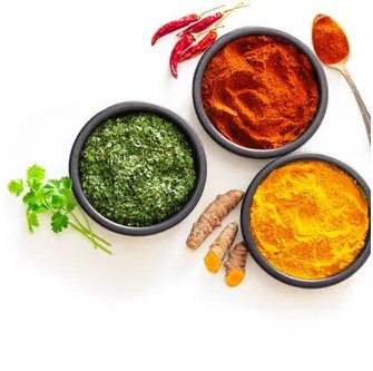 Spices Powder Export Andhra Pradesh